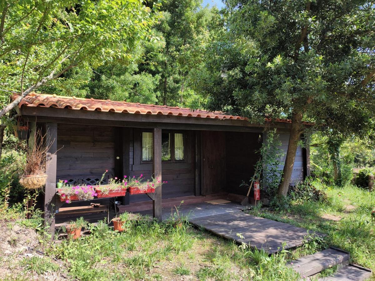 O Cantinho de Coura - a cabana Paredes de Coura Exterior foto