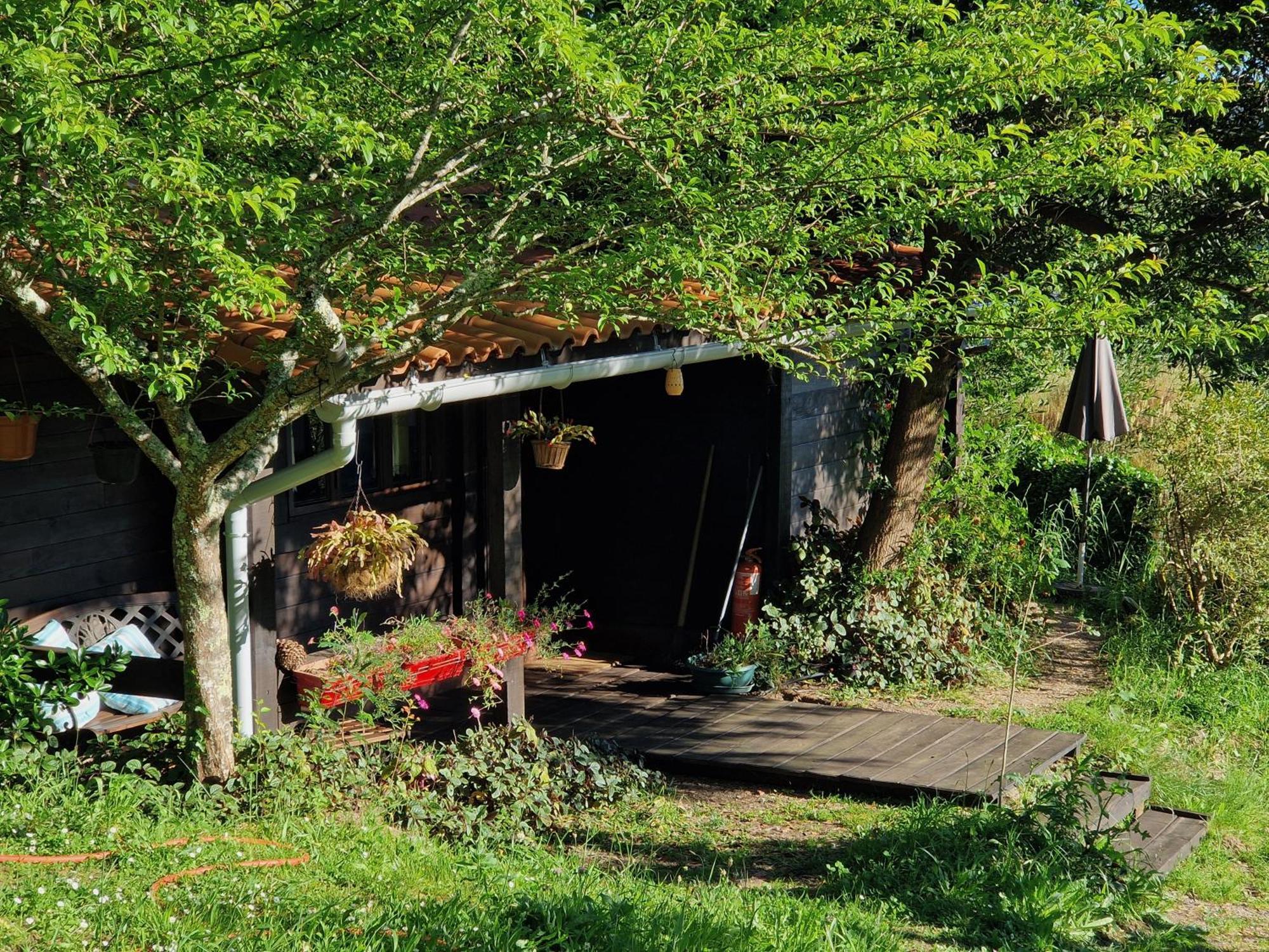 O Cantinho de Coura - a cabana Paredes de Coura Exterior foto