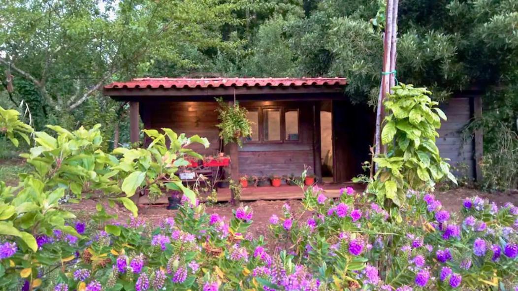 O Cantinho de Coura - a cabana Paredes de Coura Exterior foto